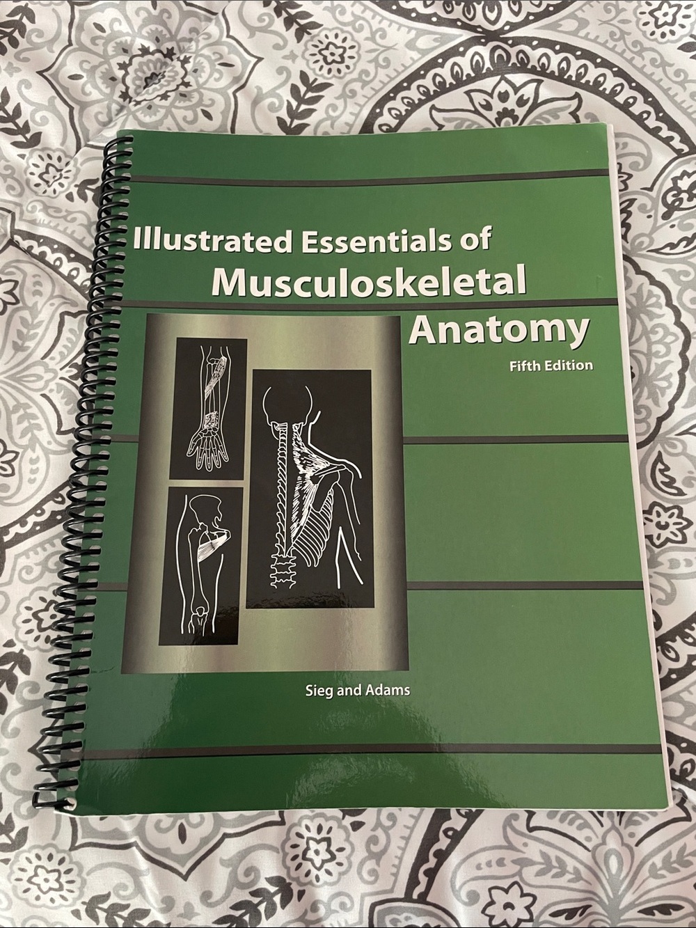 Illustrated Essentials of Musculoskeletal Anatomy
